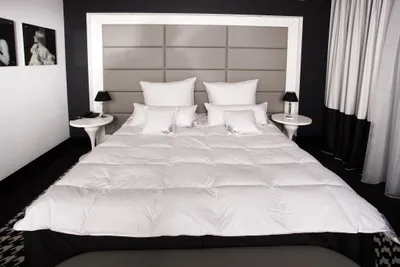 Produktbild von HS22 Decke 135x200 cm 1100 Gramm Daunendecke Bettdecke 70% Daunen 30% Federn Mayaadi Home