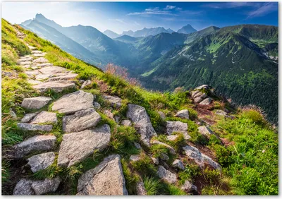 Produktbild von Tulup® Glas-Bild - 100 x 70 - Wandbild aus Glas - Wandkunst - Wandbild hinter gehärtetem Sicherheitsglas - Landschaften - Tatra-Gebirge - Grün