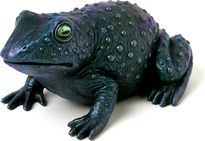 Image de Grenouille en plastique verte de 12,5 cm avec effet irisé - taille unique