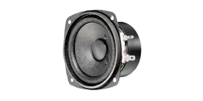 A single speaker is shown against a white background.
