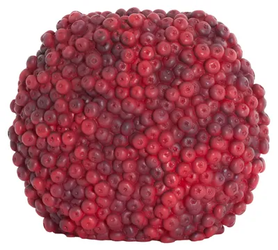 Produktbild von Light & Living Vase BERRIES Bordeaux Kunststoff – 32x18x27,5 cm