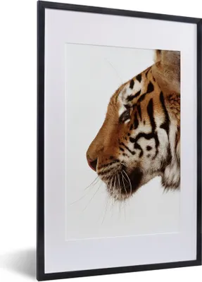 Produktbild von MuchoWow® MuchoWow® Gerahmtes Poster Nahaufnahme eines Tigers 40x60 cm - Poster mit zchwarzem Bilderrahmen - Poster in Rahmen