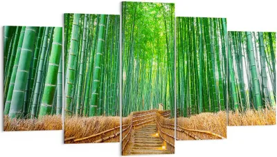 Produktbild von Bild auf Leinwand - Leinwandbild - Bambus Pflanze - 160x85cm - Wand Bild - Wanddeko - Wandbilder - Leinwanddruck - Bilder - Kunstdruck - Wanddekoration - Leinwand bilder - Wandkunst - EA160x85-3979