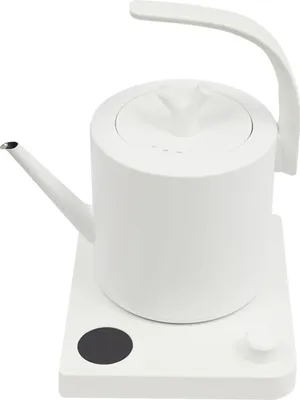 Produktbild von Elektrischer Wasserkocher, einstellbare Temperatur, intelligente Zeiteinstellung, WEISS, 10L