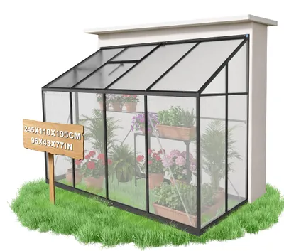 Image de NAIZY, serre d'extérieur 245x110x195 cm, adaptée à l'hivernage, serre adossable pour le jardin, serre pour la culture et l'hivernage des plantes, 2,70 m²