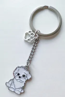 Image de Porte-Clesse Porte-Clesse Chien Blanc Malteser