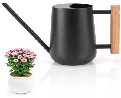 Gießkanne 1 L Edelstahl schwarz für Zimmerpflanzen