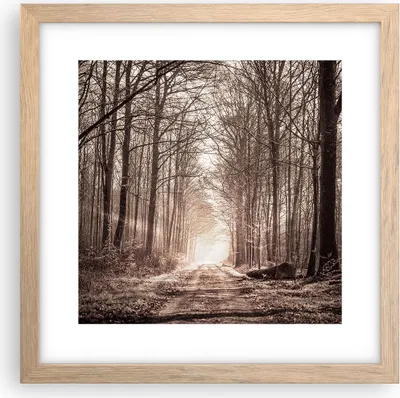 Produktbild von Gerahmtes Poster - Rahmen in heller Eiche - Wald Straße Baum - 30x30 cm - Wand Bild - Wanddeko - Wandbilder - Kunstposter - Wandposter - Bilderrahmen - Bilder - Kunstdruck - Wandbild - P2NAC30x30-3620