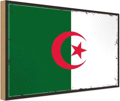 Produktbild von vianmo Holzschild 30x40 cm Algeriens Retro Algeria Flagge Fahne Wappen