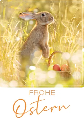 Produktbild von Ostern  Unverpackt  Glückwunschkarte im Format 115 x 17cm mit Umschlag