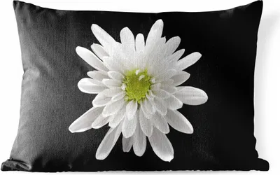 Produktbild von MuchoWow® Outdoor Kissen - Makro - Weiß - Blume - 50x30 cm - Wetterfest - Lounge Kissen - Sofa kissen - Wohnzimmer Dekoration