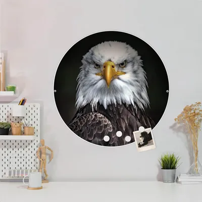 Produktbild von Design Stahlmagnettafel Weiß Rund 47cm Adler