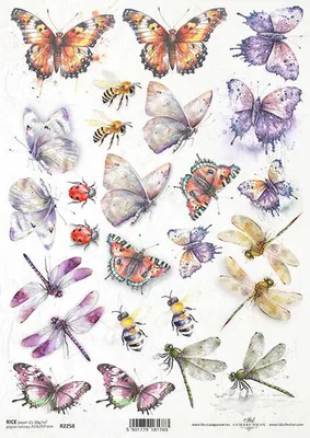 Produktbild von ITD Reispapier Decoupage Bastelpapier Serviettentechnik-R2258 Schmetterlingsinsekten