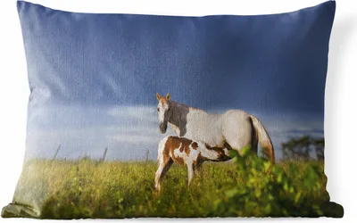 Produktbild von MuchoWow® Outdoor Kissen - Pferde - Gras - Fohlen - 60x40 cm - Wetterfest - Lounge Kissen - Zierkissen - Kissen für Innenräume