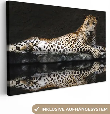Produktbild von MuchoWow® - Leinwandbilder - Leopard - Wasser - Wald, Wandbild, Wanddeko Bilder Wohnzimmer, 120x80 cm