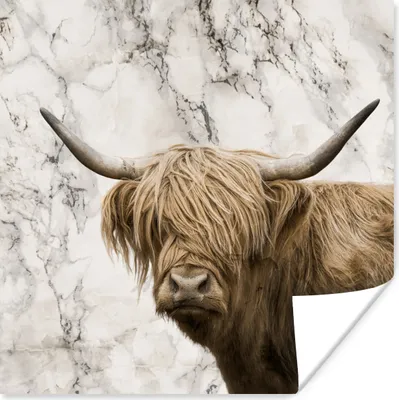 Produktbild von MuchoWow® Poster Schottischer Highlander - Marmor - Tiere 75x75 cm - Wand Dekoration