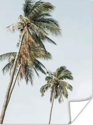 Produktbild von MuchoWow® Poster Palmen - Sommer - Tropisch 90x120 cm - Wohnzimmer