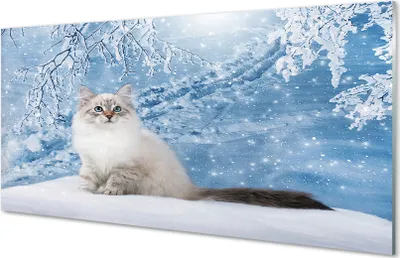 Produktbild von Glasbilder 120x60 Wandkunst Katze Winter