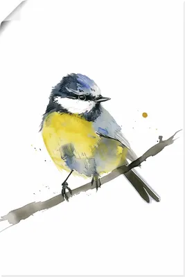 Produktbild von ARTland Poster Aquarell Blaumeise Größe: 20x30 cm