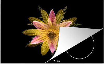 Produktbild von KitchenYeah© Herdabdeckplatte Eine gelbe Blume auf schwarzem Hintergrund , 80x52cm, Küche Deko, Glaskeramikkochfeld Herdabdeckung, Abdeckplatte fùr Kochfeld