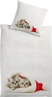 Produktbild von Baumwolle Renforcé Bettwäsche "Weihnachtskatze"