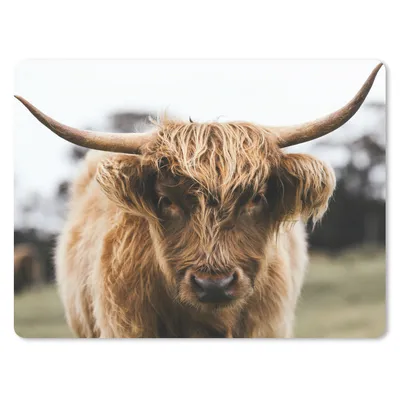 Produktbild von MuchoWow® Mauspad Mousepad Schottischer Highlander - Kuh - Gras - Tiere - Natur 23x19 cm - Mousepads - Maus Mat - Pad - Mausunterlage - Schreibtischunterlage - Mauspad