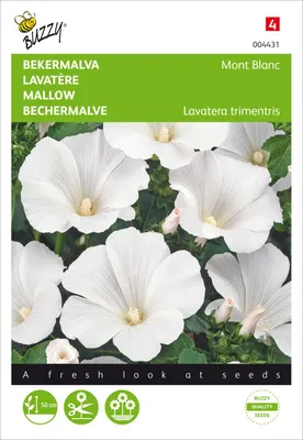 Produktbild von Bechermalve Mont Blanc | Malvensamen von Buzzy Seeds [MHD 07/2026]