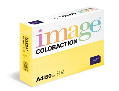 Obrázek produktu pro Antalis 266402, Kopírování, A4 (210x297 mm), Lesk, 500 listy, 80 g/m², Vícebarevný