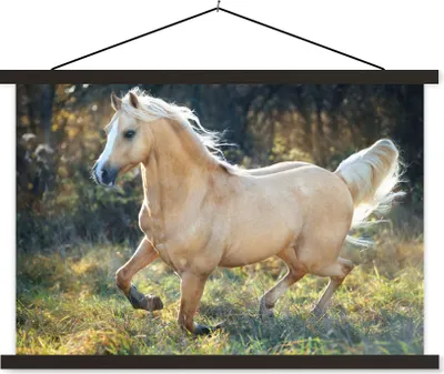 Produktbild von MuchoWow® Textilposter Pferd - Natur - Braun 60x40 cm mit schwarzem Rahmen - Hölzernes