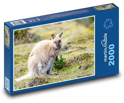 Obrázok produktu pre martinpuzzle - Puzzle 2000 - Mláda klokana v zoo