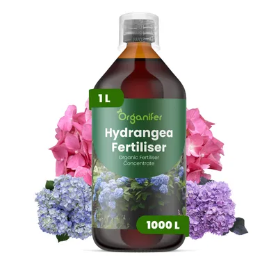 Obrázok produktu pre Hortenzie – Tekuté hnojivo 1 L – Zloženie NPK: 2-1-8 – Pre kvitnúce rastliny – Pre zdravé listy a bohaté kvitnutie – Podporuje rast koreňov a vitalitu – Organický produkt