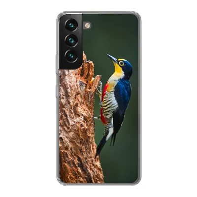Produktbild von MuchoWow® Handyhülle Schutzhülle Hülle für Samsung Galaxy S22 Nahaufnahme eines bunten Vogels auf der Seite eines Baumstamms Silikon Softcase Handy Hülle - Mobiltelefonhülle