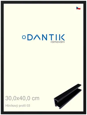 Obrázek produktu pro DANTIK rámeček 30x40 | ALU profil 7003 Černá Florentinská (Plexi Čiré)