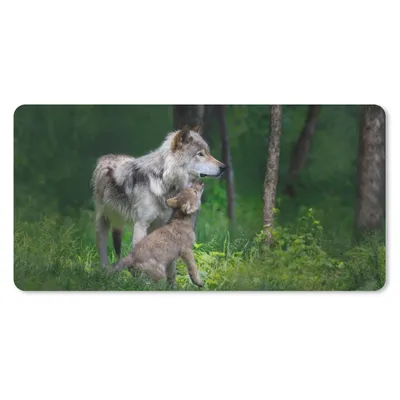 Produktbild von MuchoWow® Schreibtischunterlage Wolf - Baby - Wald 80x40 cm - XXL Mauspad - Gaming Mauspad