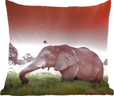 Produktbild von MuchoWow® Zierkissen Sofakissen Wohnzimmer Dekokissen 45x45 cm Elefant - Gras - Sonne - Tiere - Schlafpolster - Polster für das Sofa