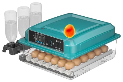 Immagine prodotto di Incubatrici per uova, controllo automatico della temperatura, doppia alimentazione elettrica, capacità per 36 uova