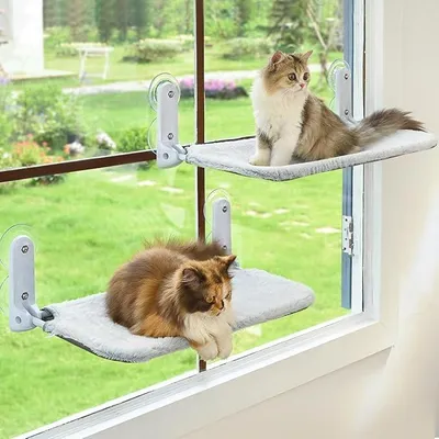 Produktbild von 2er Set Schnurlose Katzenhängematte für Fenster, klappbar, bis 13,6kg, Edelstahl, 4 Saugnäpfe, 60,5x30cm
