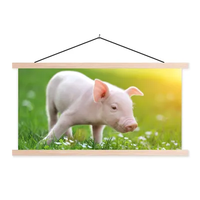 Produktbild von MuchoWow® Textilposter Tiere - Ferkel - Schwein 120x60 cm mit holzfarbenen Rahmen - Klemmleiste