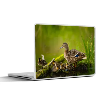 Produktbild von MuchoWow® Laptop Aufkleber Sticker Cover Ente - Vögel - Wasser - Zweig - Moos 32.5x23.5 cm - Sticker für Laptop - Selbstklebend