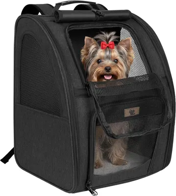 Productafbeelding van Opvouwbare draagrugzak voor huisdieren met netvensters, 34 x 28 x 43 cm, zwart