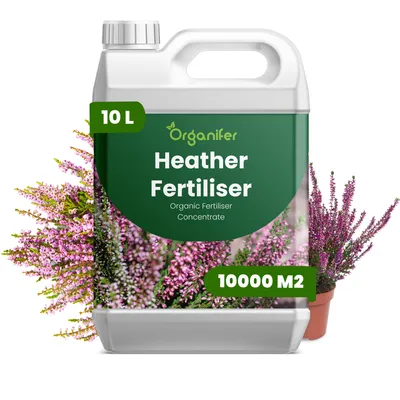 Obrázok produktu pre Vres Tekuté hnojivo 10 L – 2-1-8 (NPK) – Pre vresové rastliny – Podporuje silný rast a dlhodobé kvitnutie – Organický produkt