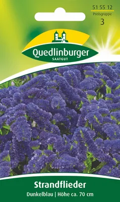 Produktbild von Strandflieder Dunkelblau | Blumensamen von Quedlinburger