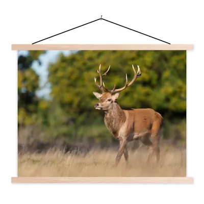 Produktbild von MuchoWow® Textilposter Tiere - Hirsche - Geweihe - Waldtiere - Natur 40x30 cm mit holzfarbenen Rahmen - Bilder