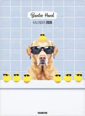 Produktbild von Wandkalender 2026 - Bunter Hund
