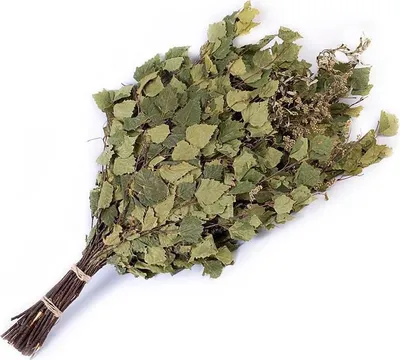 Produktbild von Birkenbesen mit Kräutern Flammifera