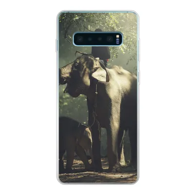 Produktbild von MuchoWow® Handyhülle Schutzhülle Hülle für Samsung Galaxy S10 Plus Elefant - Wald - Bäume - Tiere - Trainer Silikon Softcase Handy Hülle - Schutzhülle