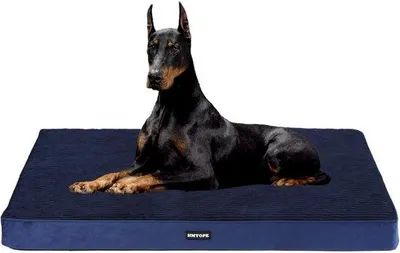 Produktbild von Orthopädisches Hundebett 10cm dick marineblauw