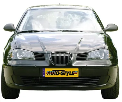 Productafbeelding van Grill voor auto, zonder logo, perfect passend
