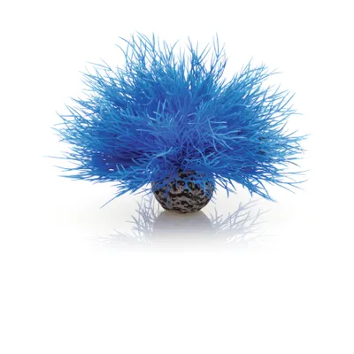 Obrázek produktu pro biOrb Aquatic sea lily blue