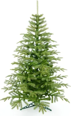 Produktbild von nabbi Weihnachtsbaum Christee 19 220 cm - Grün